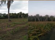 Kasus Penyerobotan Lahan Dipertanyakan