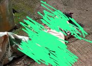 Sadis Suami Bunuh Istri Dengan Cara Mutilasi