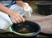 Manfaat Pupuk Organik Yang Perlu Anda Ketahui