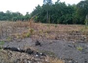 Apa Benar Sebidang Tanah yang Dibeli Dijual Kembali?