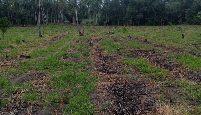 Kasus Dugaan Penyerobotan Lahan Ditinjau Polisi