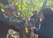 Unasman dan KEMENDIKBUDRISTEKDIKTI Dorong Pengembangan Agrotecnhopark