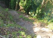 Bangunan Cagar Budaya Terlupakan di Tengah Gemerlap Kota