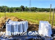 Gabah Dicuri, Saksi Berikan Keterangan