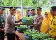 Kapolres Soppeng Dukung Peluncuran Bibit Cabai Tampaning
