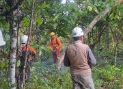 Perusahaan Berbuat Semena-mena Abaikan Aturan ?