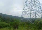 PLN Sulawesi Tenggara dan PT CNI Belum Memberikan Jawaban atas Konfirmasi Media
