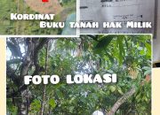 Camat Wolo: Perusakan Tanaman Diduga Libatkan Oknum PT CNI, Mediasi Masih Berlanjut