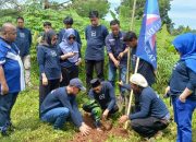 Bergerak Berasama BMI, Tumbuh Bersama: Penanaman 100.000 Pohon di Gowa