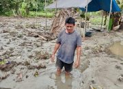 Petani Kebun di Toli Oli Menjerit: Kebun Rusak, Pemerintah Bungkam, Perusahaan Tambang Menghilang