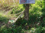 Mafia Tanah Diduga Beraksi di Enrekang, Warga Pertanyakan Gugatan Malle Puniga atas Lahan Bersertifikat