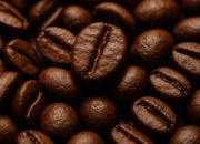 “Mujisat Biji Kopi: Menghidupi Ekonomi Rakyat, Merawat Budaya Bangsa”