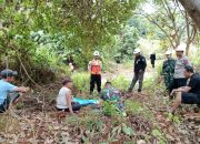 Petani Toli-Oli Blokade Jalan, Desak Penyelesaian Sengketa Lahan dengan PT CNI