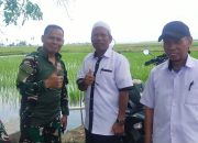 Dandim Soppeng Tinjau Program OPLA di Kelurahan Kaca