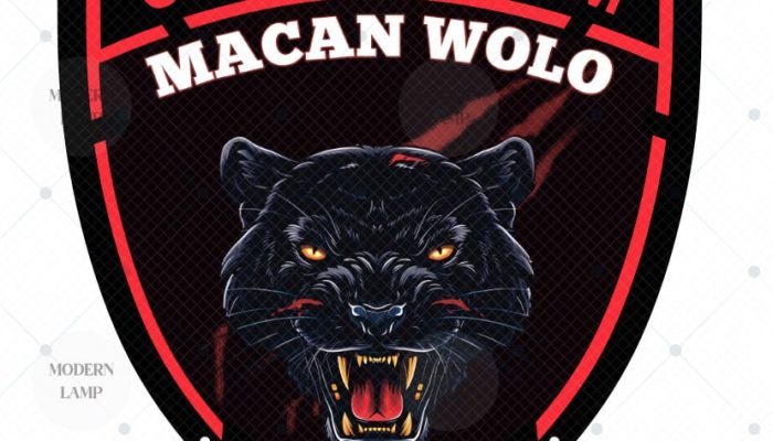 Polsek Wolo Ungkap Kasus Pencurian di Iwoimendaa