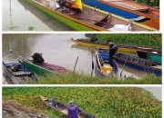 Nelayan di Danau Tempe Resah, Hasil Tangkap Ikan Terus Menurun dan Menjadi Beban Ekonomi