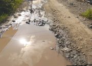 Ironi Dana Desa Mengalir Deras: Jalan Masuk Lorong Desa Labota Bahodopi Masih Berlumpur, Tiang Listrik Warga Diganti Kayu Swadaya