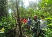 KPH Walanae Perkuat Pengamanan Hutan, Kepala Resort Niniconang Pimpin Langsung Kegiatan di Lapangan