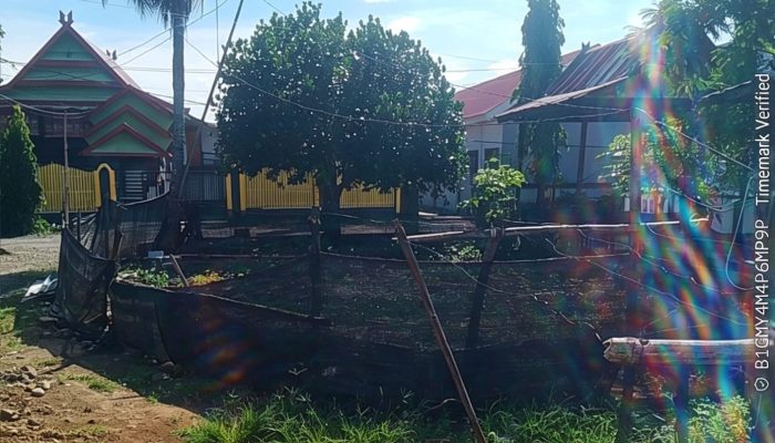 Diduga Sepihak, Ahli Waris Protes Keras Penerbitan Sertifikat PRONA di Takalar