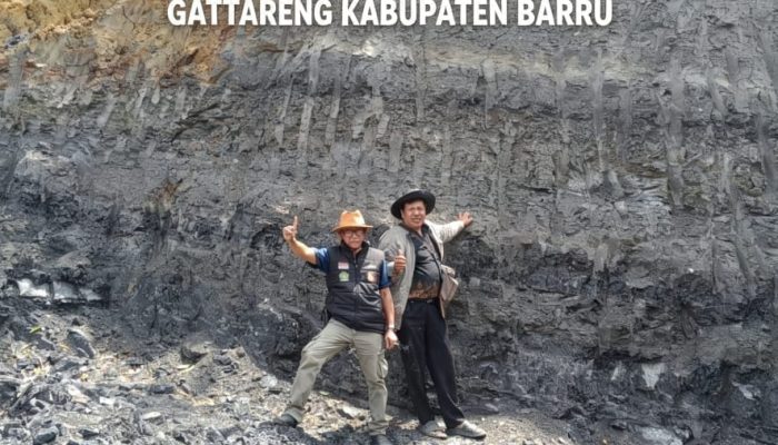 Investigasi Tambang Ilegal di Barru Mandek, Tim Investigasi Media Justru Dikirimi Surat Teguran oleh DLH