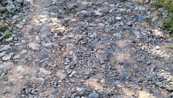 Jalan Telford Rp312 Juta di Desa Bulo-Bulo Rusak Parah, Kepala Desa Bungkam Meski Sudah Dikonfirmasi