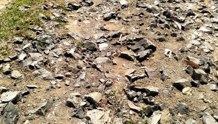 Pemasangan Asal Jadi di Desa Bulo-Bulo Sejak 2024 Tak Kunjung Diperbaiki, Kades Bungkam Saat Dikonfirmasi