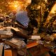Berliterasi dengan Cara Unik, Tenggara Reading House Hadirkan “Literasi on The Roof”, Membaca di Atas Atap Sembari Menikmati Senja