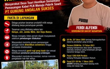 Diduga Tebang Tanaman Warga Tanpa Persetujuan, Masyarakat Blokade Pemasangan Kabel Listrik Menuju PKS PT Gunung Andalan Sukses