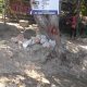 Proyek Normalisasi Sungai Kasimu Kolaka Disorot, Papan Proyek Dipaku di Pohon dan Pekerja Diduga Abaikan K3
