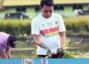 SIDRAP BANGKIT!  Dari Lumbung Beras dan Intelektual Menuju “Sidrap Pekerja Keras”  Stigma sobis harus ditinggalkan. Falsafah Nene’ Mallomo menjadi energi kebangkitan generasi muda Sidrap