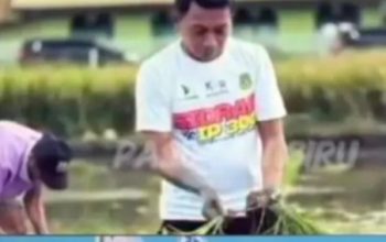 SIDRAP BANGKIT!  Dari Lumbung Beras dan Intelektual Menuju “Sidrap Pekerja Keras”  Stigma sobis harus ditinggalkan. Falsafah Nene’ Mallomo menjadi energi kebangkitan generasi muda Sidrap