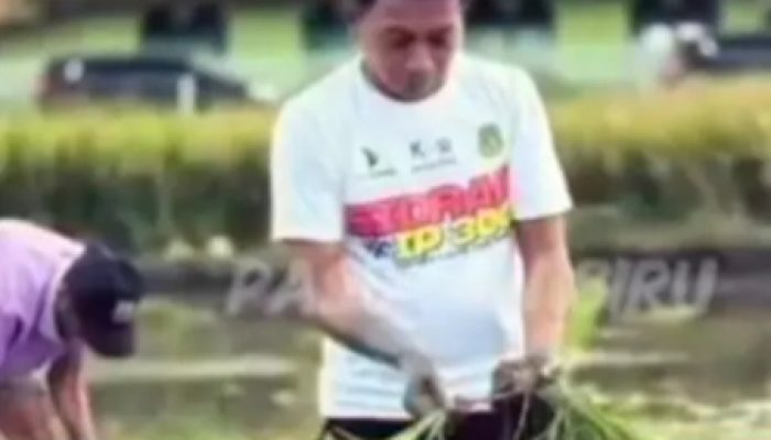 SIDRAP BANGKIT!  Dari Lumbung Beras dan Intelektual Menuju “Sidrap Pekerja Keras”  Stigma sobis harus ditinggalkan. Falsafah Nene’ Mallomo menjadi energi kebangkitan generasi muda Sidrap