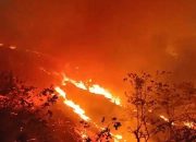 Karhutla Pampalere Belum Sepenuhnya Padam, Asap Terlihat di Sekitar Lamuru — Respons Penanganan Perlu Diperkuat