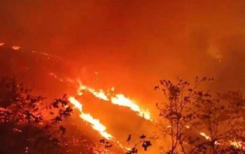 Karhutla Pampalere Belum Sepenuhnya Padam, Asap Terlihat di Sekitar Lamuru — Respons Penanganan Perlu Diperkuat