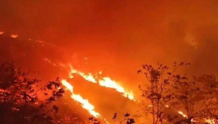 Karhutla Pampalere Belum Sepenuhnya Padam, Asap Terlihat di Sekitar Lamuru — Respons Penanganan Perlu Diperkuat