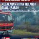 KEBAKARAN HUTAN DI PASIR PUTIH, TAWAU, SABAH*